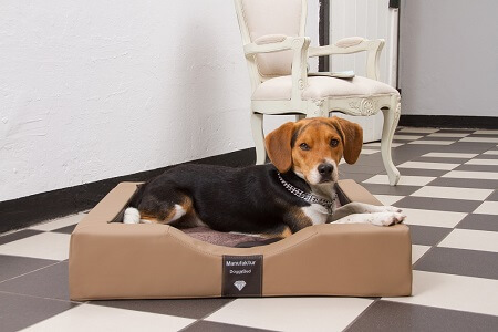 GEL Hundebetten pflegeleicht, orthopädisch